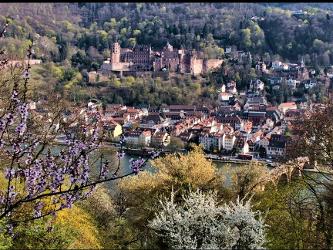 Bruder, Claudia Frühlingsblüte mit Schlossblick